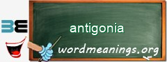 WordMeaning blackboard for antigonia